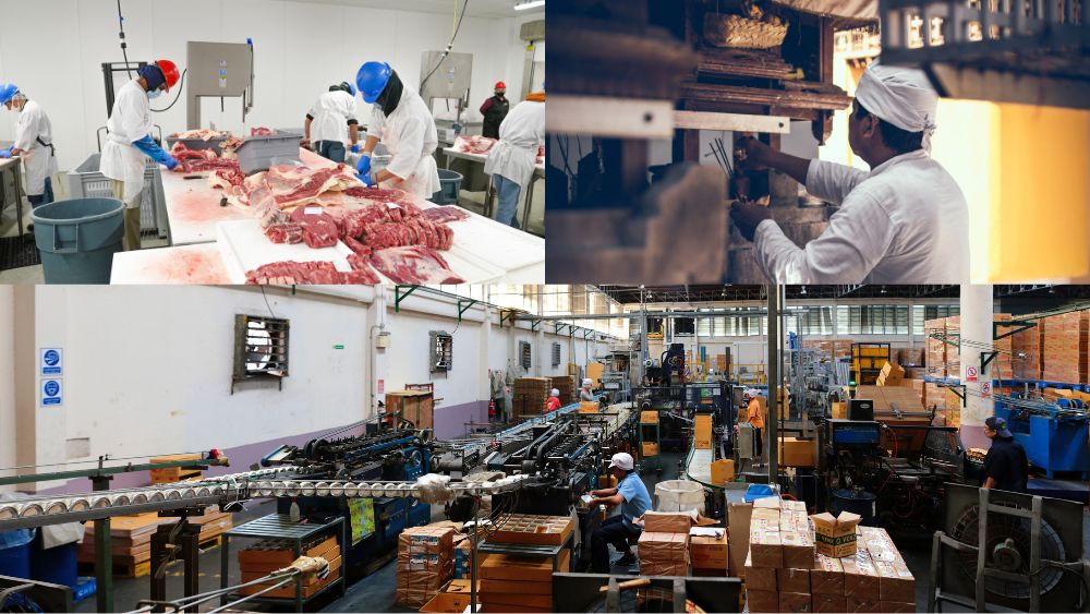 A Day in the Life of Food Production Workers